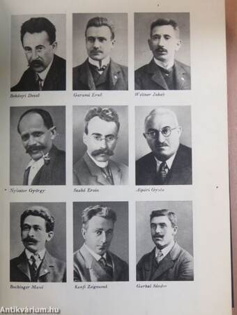 A magyar forradalmi munkásmozgalom története