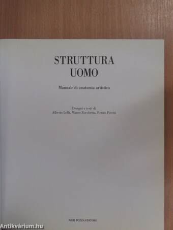 Struttura uomo