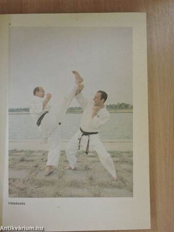 Kyokushin karate