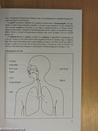 Érettségi témakörök, tételek - Magyar nyelv