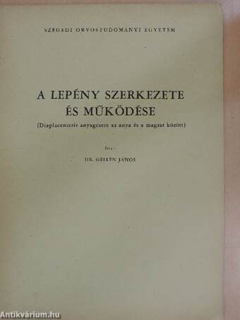 A lepény szerkezete és működése