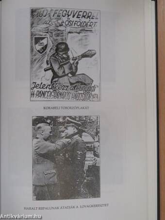 Magyarok a Waffen-SS kötelékében