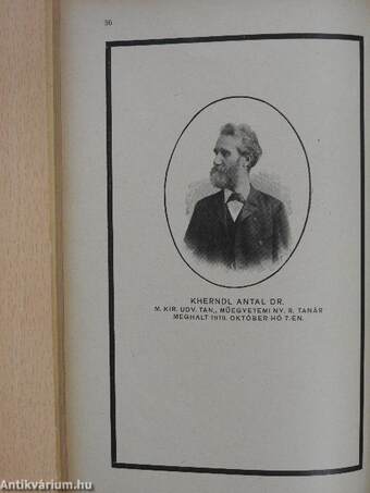 A M. Kir. József-Műegyetem 1923/24. tanévének megnyitásakor 1923. szeptember hó 30.-án tartott beszédek