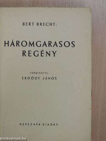 Háromgarasos regény