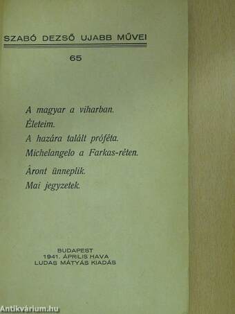 A magyar a viharban/Életeim/A hazára talált próféta/Michelangelo a Farkas-réten/Áront ünneplik/Mai jegyzetek