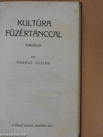 Kultúra füzértánccal