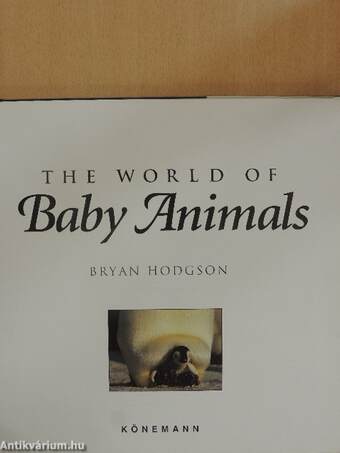 The World of Baby Animals