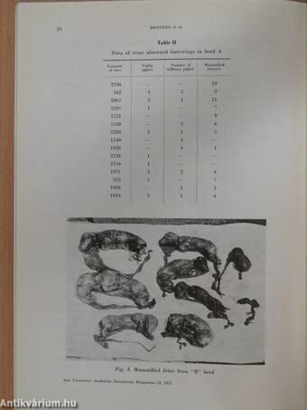 Acta Veterinaria Tomus XXIII, Fasciculus 1.