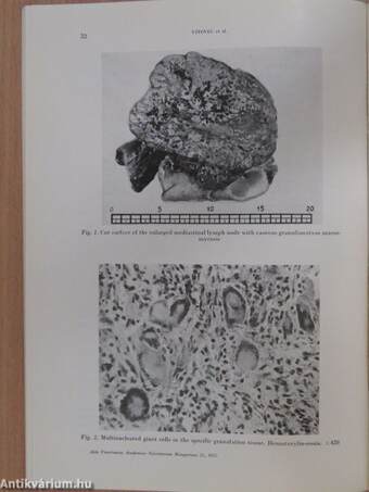 Acta Veterinaria Tomus XXV, Fasciculus 1.