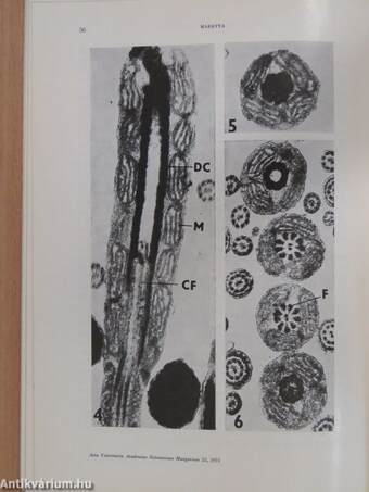 Acta Veterinaria Tomus XXV, Fasciculus 1.