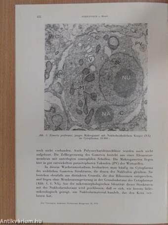 Acta Veterinaria Tomus XX, Fasciculus 4.