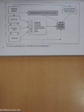 Magyar egészségügy: diagnózis és terápia