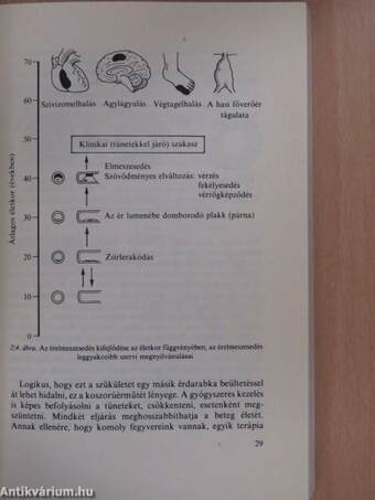 Biztató