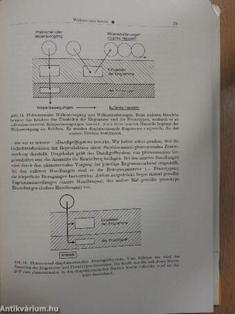 Lehrbuch der Psychiatrie