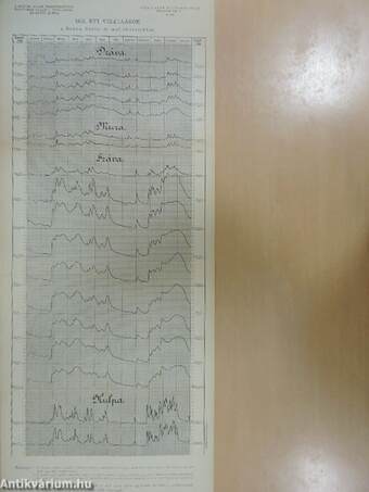 A Dunában, Tiszában és mellékfolyóikban, a Balaton és Fertő tavakban s vízvidékeiken észlelt vízállások és csapadékok 1905. évben
