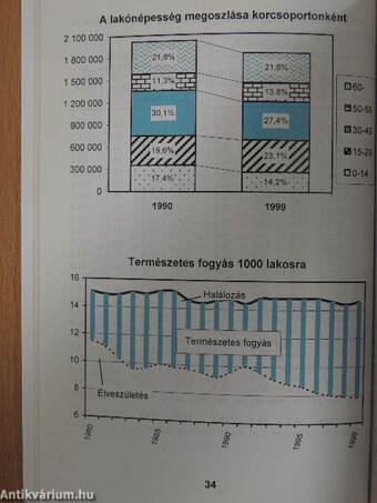 Budapest statisztikai zsebkönyve 1999