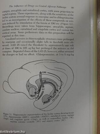 Brain Mechanisms and Drug Action