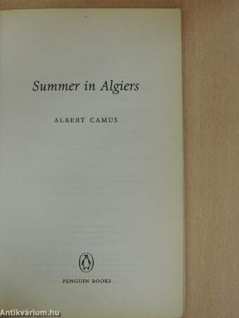 Summer in Algiers