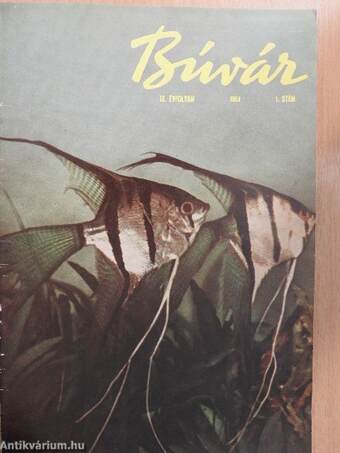 Búvár 1964-1965. január-december