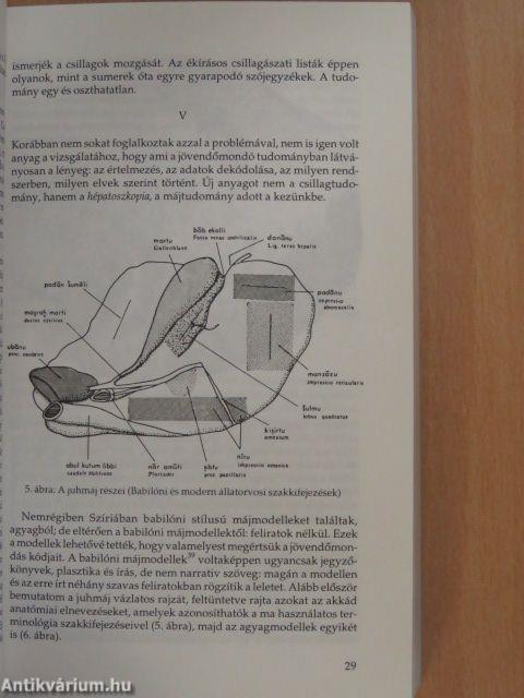 Bezárkózás a nemzeti hagyományba