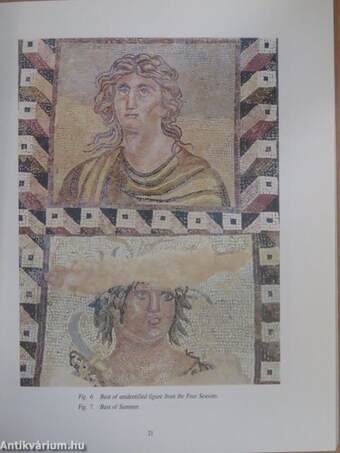 Guide to the Paphos Mosaics