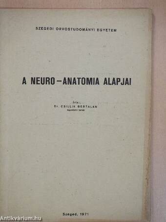 A neuro-anatomia alapjai