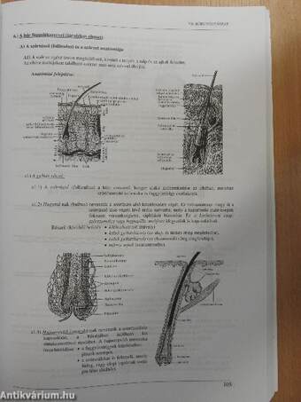 Kéz- és lábápolás, műkörömépítés elmélete és gyakorlata