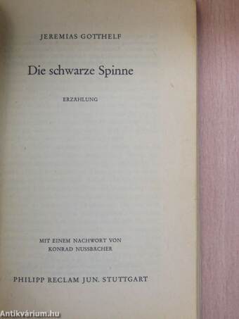 Die schwarze Spinne