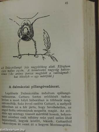 A német birodalom sorsdöntő órája/Egy angol altábornagy kémkedése/A modern háború eszközei/Zeppelin/Nagy-Britannia veszedelme