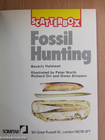 Fossil Hunting