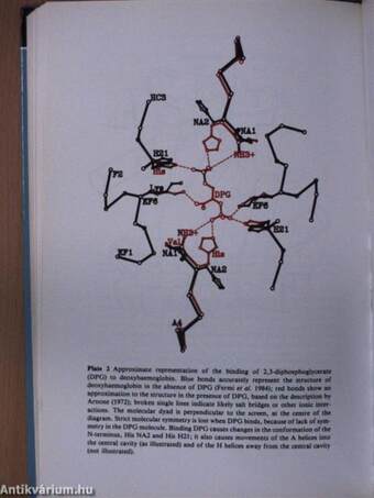 Molecular Structures in Biology