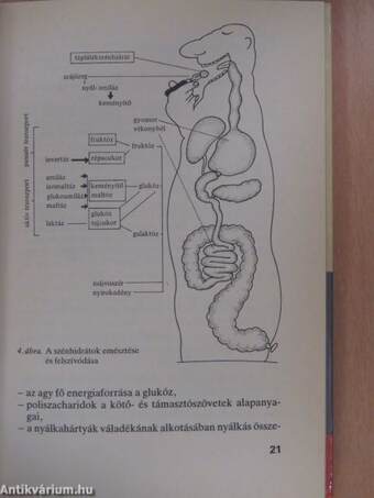 Az éhezéstől az elhízásig (dedikált példány)