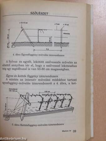 Szőlészet, borászat a kiskertben