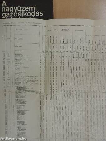 A vállalati géppark és géphasználat matematikai tervezése