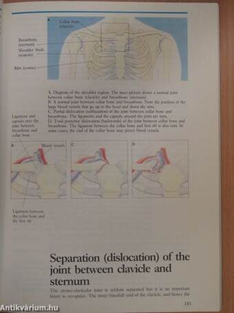 Sports Injuries 1.