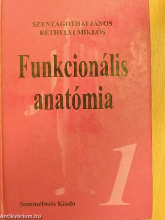 Funkcionális anatómia 1-3.