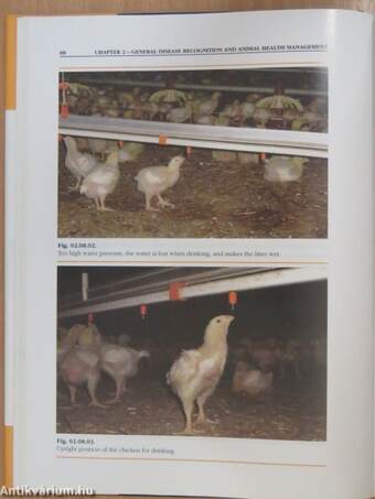 Practical guide to broiler health management (dedikált példány)