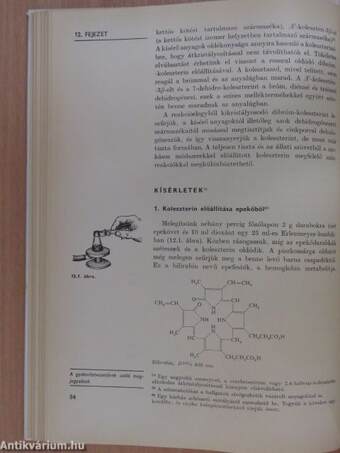 Szerveskémiai laboratóriumi praktikum