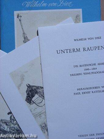 Unterm Raupenhelm