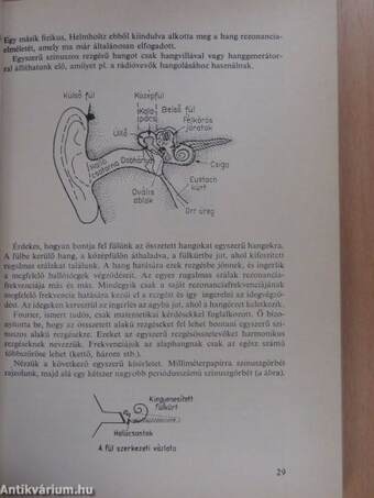 Barátom a magnó