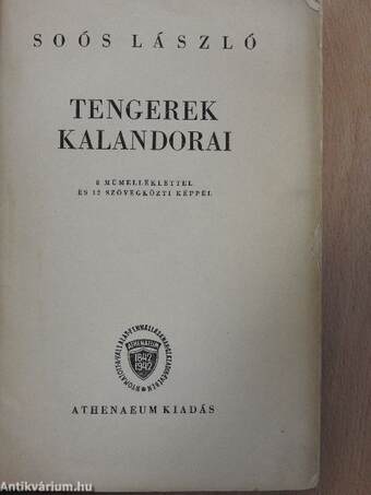 Tengerek kalandorai