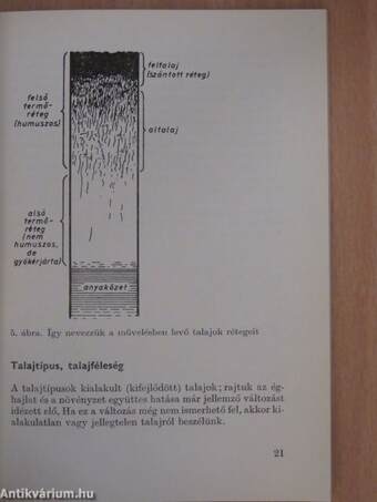 A kiskertek talaja