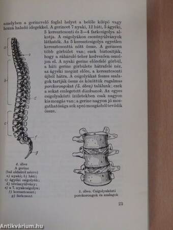 Küzdelem a reuma ellen (aláírt példány)