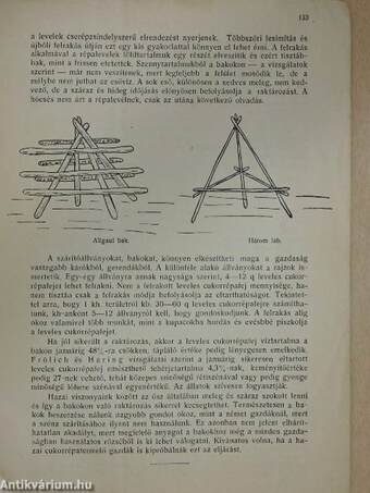 Cukorrépa és zöldmezőgazdaság 1936. szeptember 15.