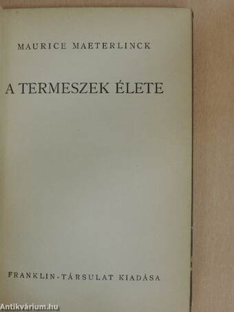 A termeszek élete