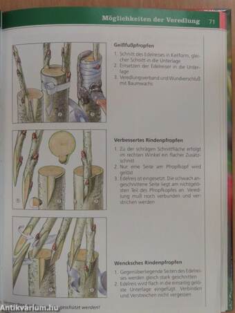 Schnitt und Veredlung von Obstgehölzen