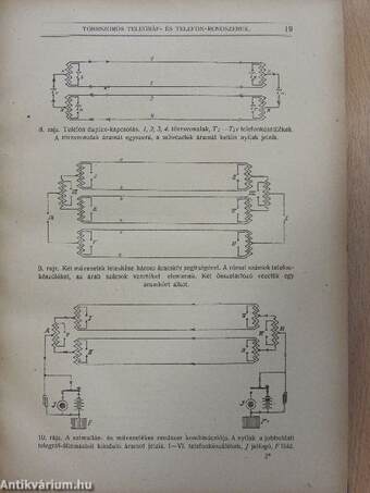 Természettudományi Közlöny 1919. január-december/Pótfüzetek a Természettudományi Közlönyhöz 1919. január-december