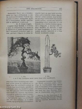 Természettudományi Közlöny 1919. január-december/Pótfüzetek a Természettudományi Közlönyhöz 1919. január-december