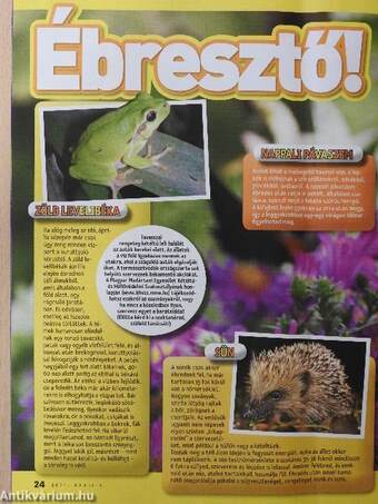 National Geographic Kids 2011. április