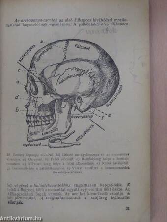 Az ember élettana és egészségtana